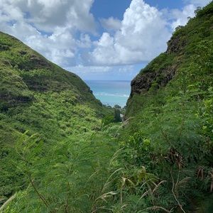 Meet your Posher, Dante